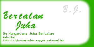 bertalan juha business card